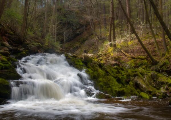 Waterfall on State Game Lands 260 in Shickshinny Pennsylvania