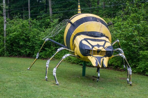 A bee at Schaeffer's Auto Art near Erie, PA