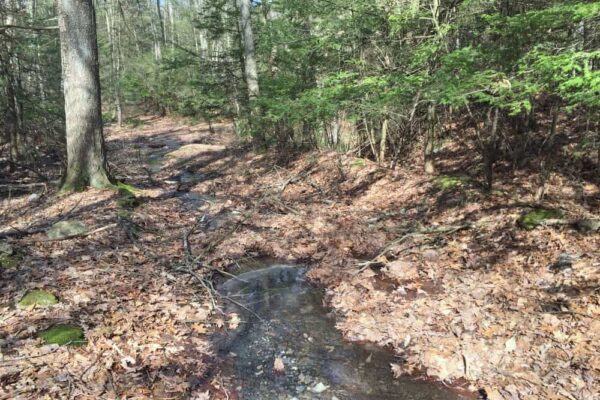 Trail to Little Shickshinny Falls in Luzerne County Pennsylvania