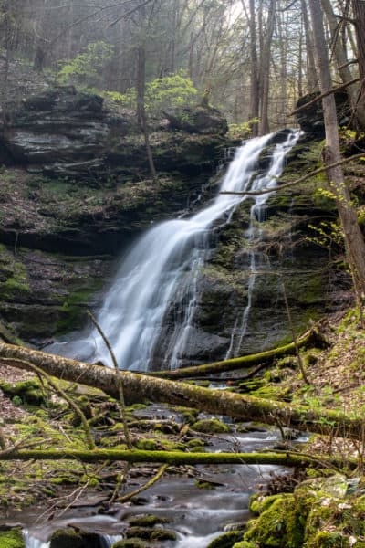 Bohen Falls in the Pennsylvania Grand Canyon.