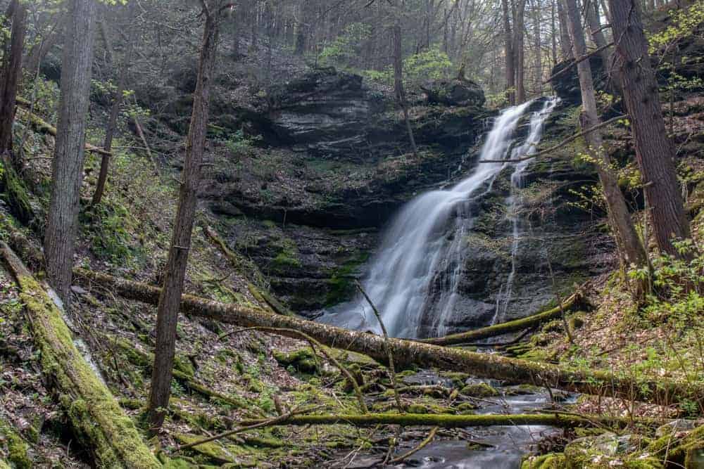 Hiking the Bohen Falls Trail in the Pennsylvania Grand Canyon