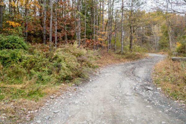 Trail to Concrete City in NEPA