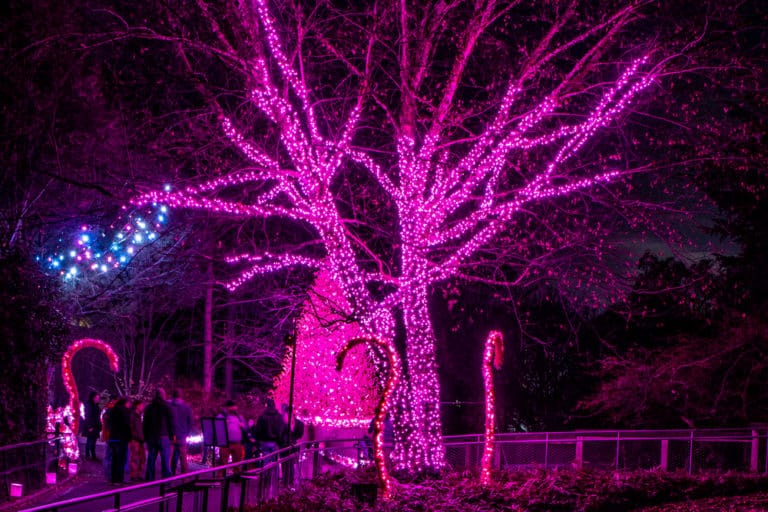 LumiNature at the Philadelphia Zoo: Holiday Lights with a Twist - Uncovering PA