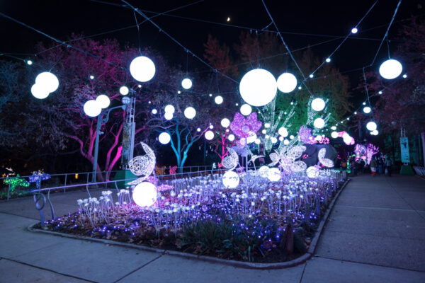A light display at the beginning of LumiNature in Philly.