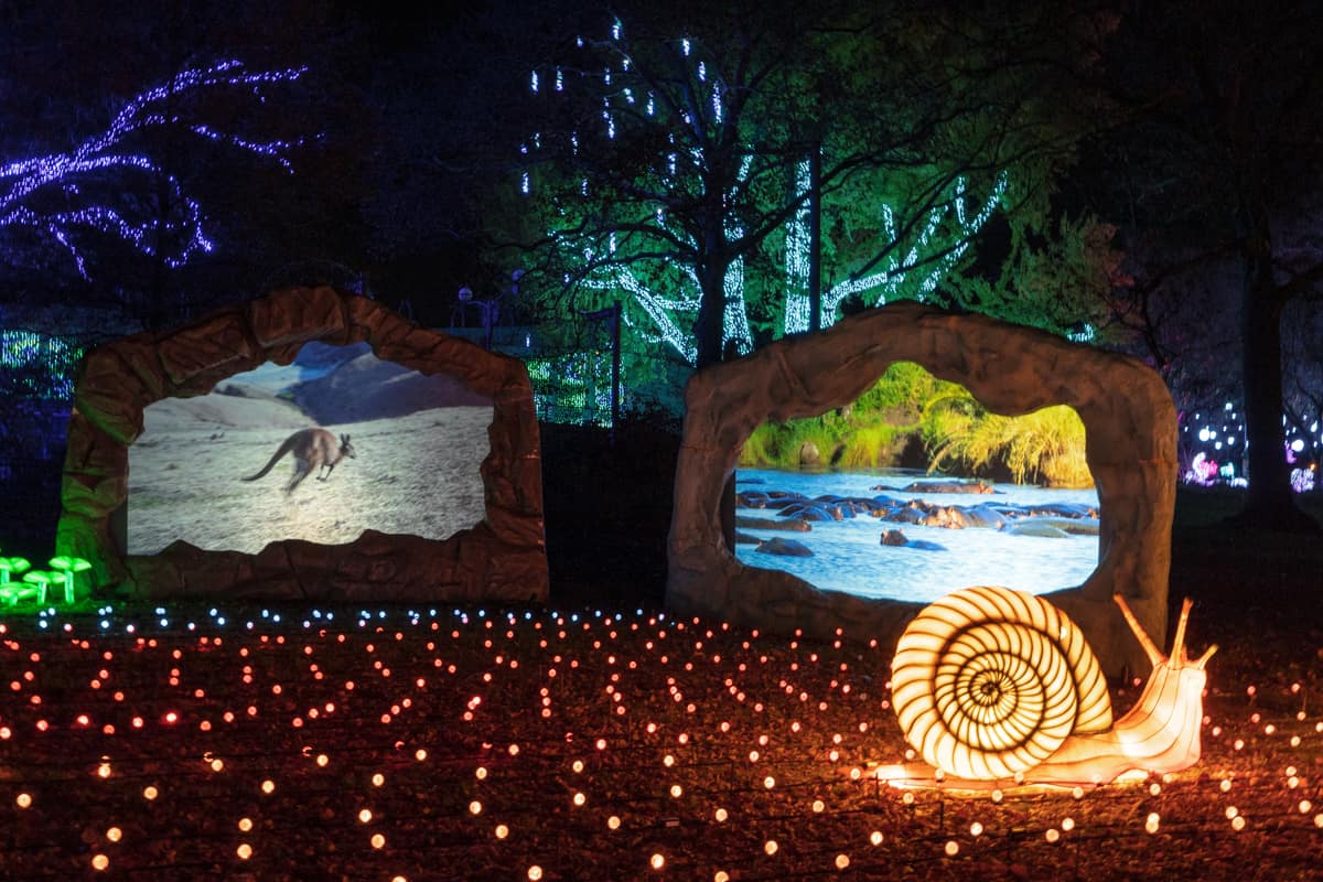 Video screen play behind a lit snail at LumiNature at the Philadelphia Zoo in Pennsylvania