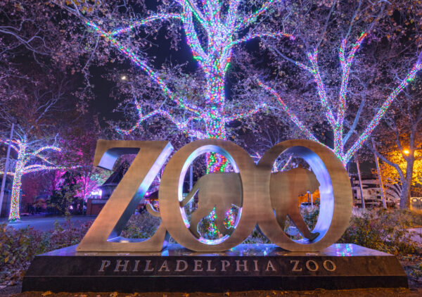 The Philadelphia Zoo sign illuminated during LumiNature in Philly.