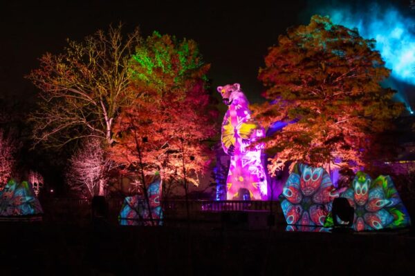 Polar bear light show at LumiNature at the Philadelphia Zoo