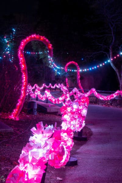 Flamingo lights at LumiNature in Philadelphia, PA