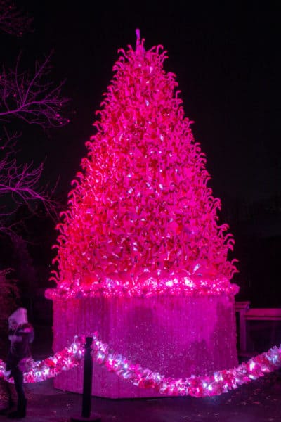 Pink flamingo Christmas tree at the Philly Zoo