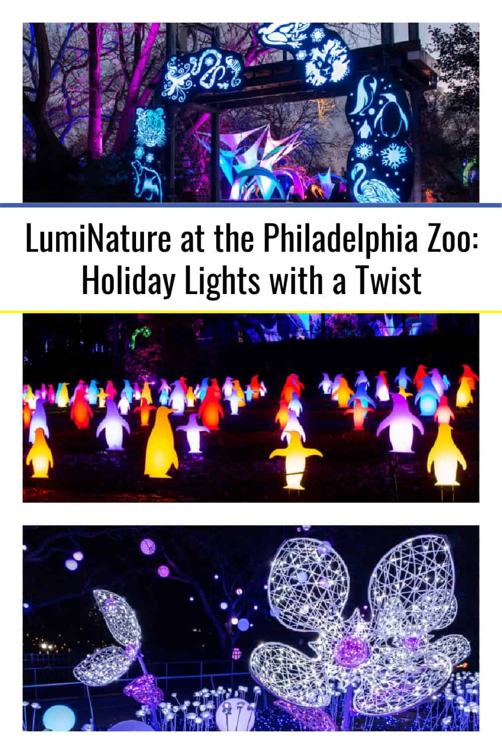 LumiNature at the Philadelphia Zoo Holiday Lights with a Twist Uncovering PA