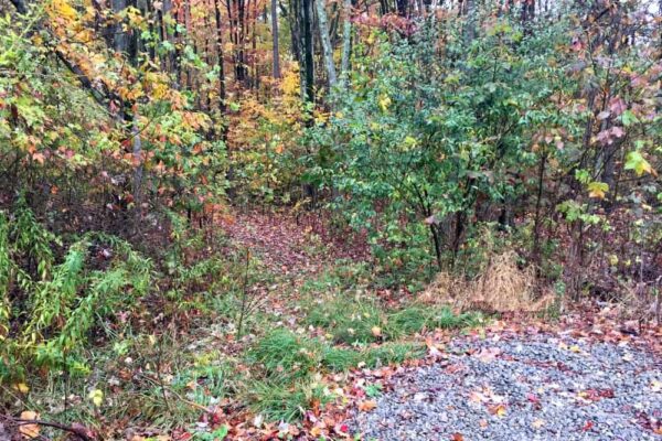 Trail to Grindstone Falls in Lawrence County Pennsylvania