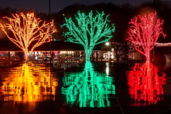 Lights reflecting on the wet ground at Holiday Lights on the Lake near Altoona PA