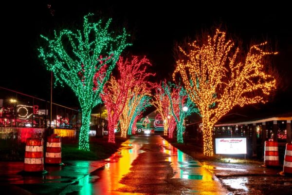 Trees lit in Holiday Lights on the Lake in Altoona Pennsylvania