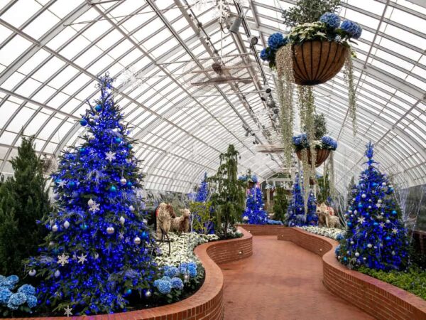 Winter Flower Show at Phipps Conservatory and Botanical Gardens in Pittsburgh PA