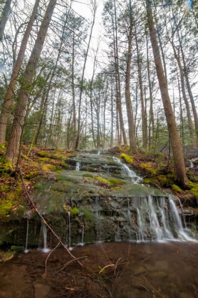 Waterfall on Paddy Run in State Game Lands 260 in Luzerne County PA