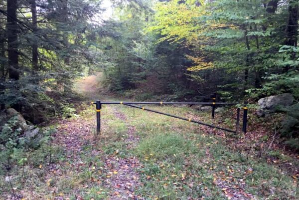 Trailhead to Rusty Falls in Loyalsock State Forest in northeastern PA