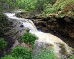 How to Get to Nay Aug Falls in Scranton