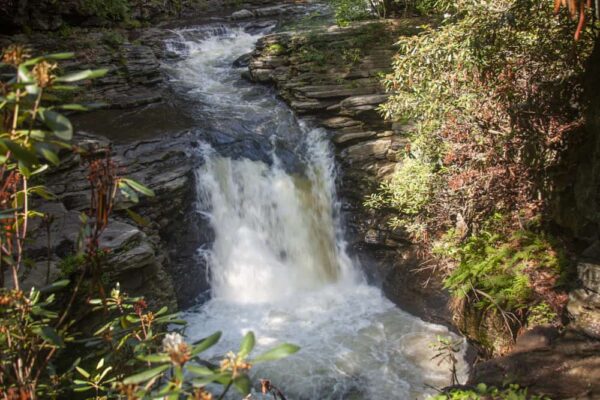 Vista delle cascate di Nay Aug dalla cima di Nay Aug Gorge a Scranton Pennsylvania