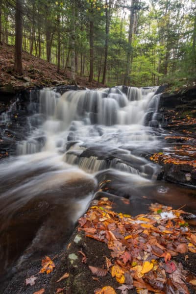 Rusty Falls in Loyalsock State Forest in Sullivan County Pennsylvania