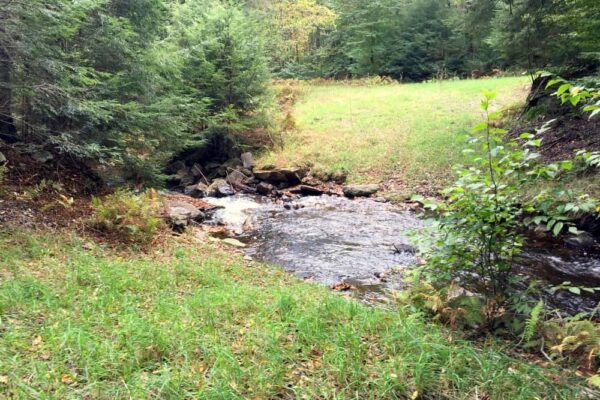 Rusty Run in Loyalsock State Forest