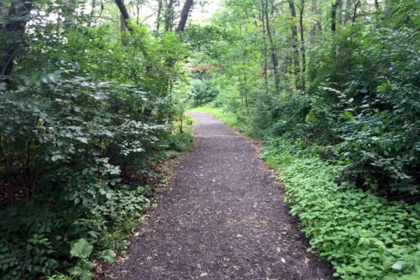 Sentier Davis dans le parc Nay Aug à Scranton PA