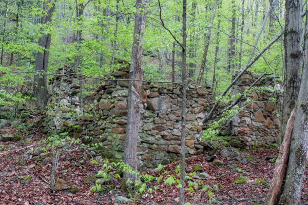 Stone foundations in the McIntyre Wild Area of Lycoming County Pennsylvania