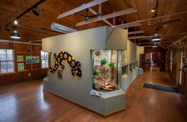 Discovery Room at Shaver's Creek in Huntingdon County PA