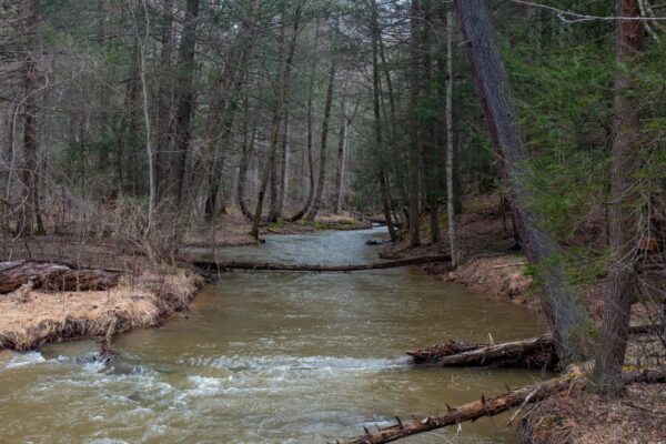 Stream at Shaver's Creek Environmental Center