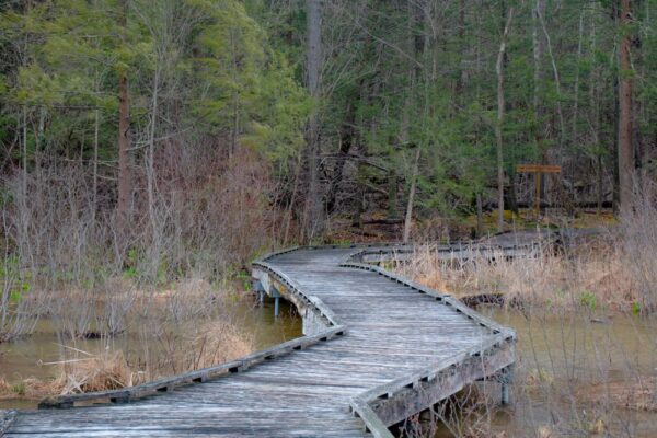 Hiking at Shaver's Creek Environmental Center in Huntingdon County PA