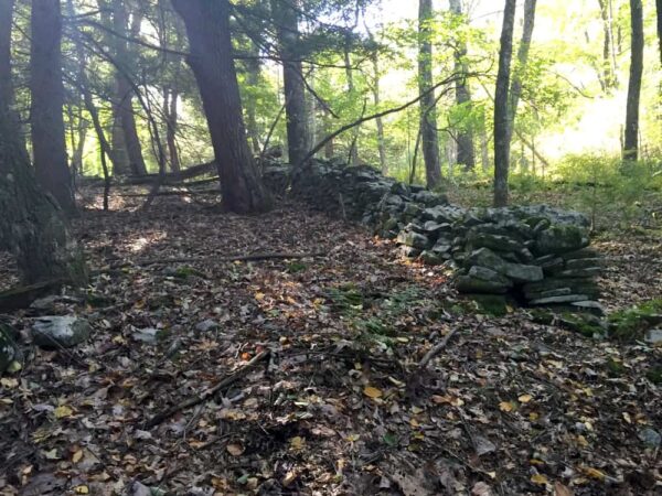 Stone wall in the Delaware State Forest of Pike County, PA