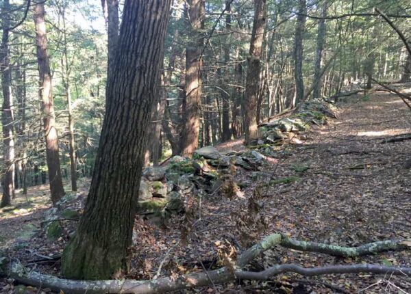 Old stone wall in the forest of Pike County PA