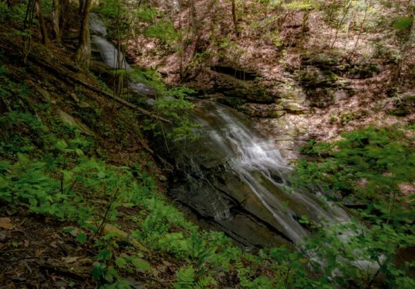 Pine Island Run Falls in the PA Grand Canyon