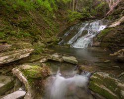 How to Get to Pine Island Run Falls in the PA Grand Canyon