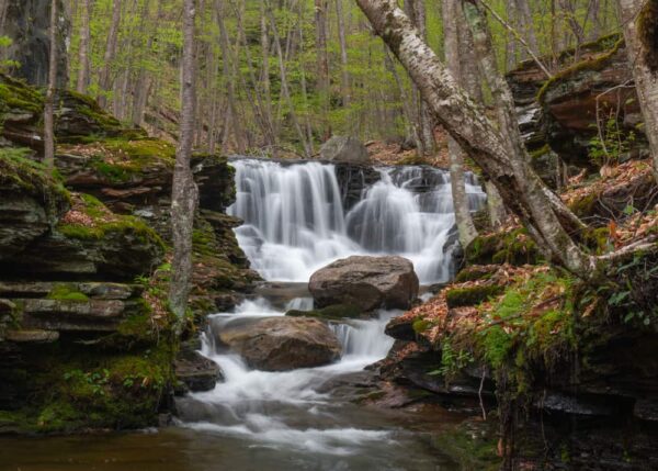 Puzzle of Miners Run Falls