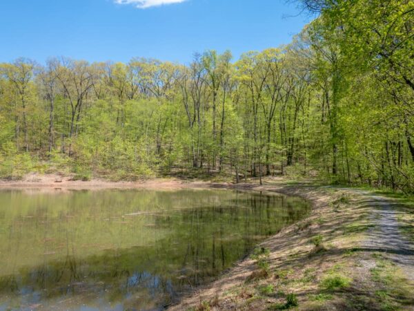 The pond at Boyd Big Tree Preserve in Harrisburg Pennsylvania