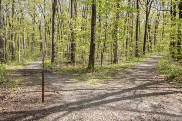 Trail juncture at Boyd Big Tree Preserve Conservation Area near Harrisburg Pennsylvania