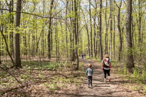 Family hiking at Boyd Big Tree Preserve in Dauphin County PA