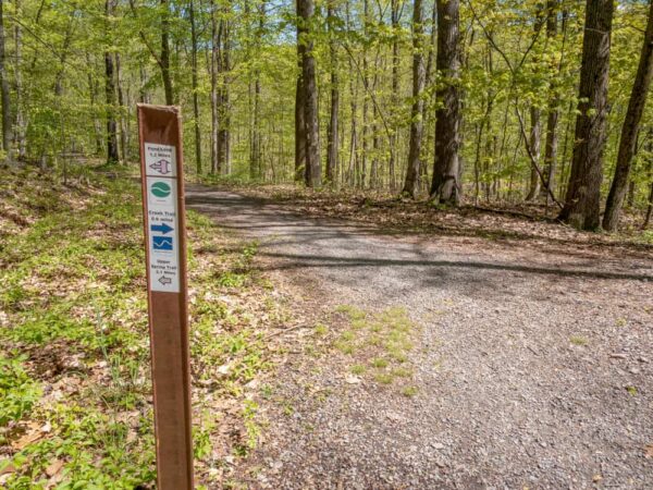 Trail marker at Boyd Big Tree Preserve near Harrisburg PA