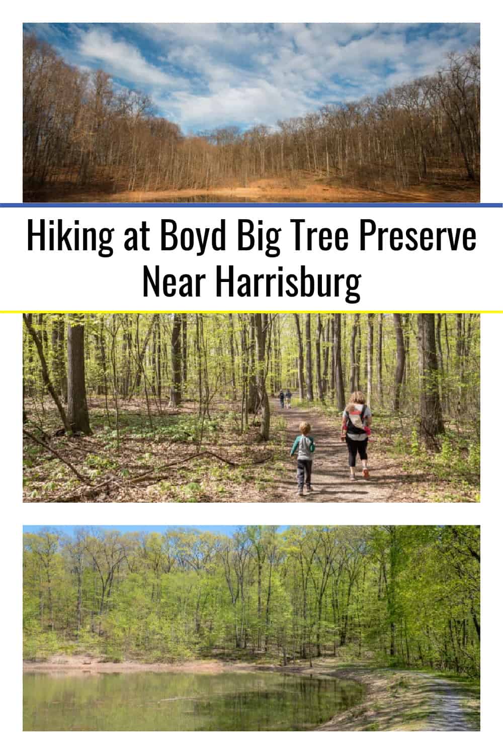 Hiking at Boyd Big Tree Preserve Near Harrisburg - Uncovering PA