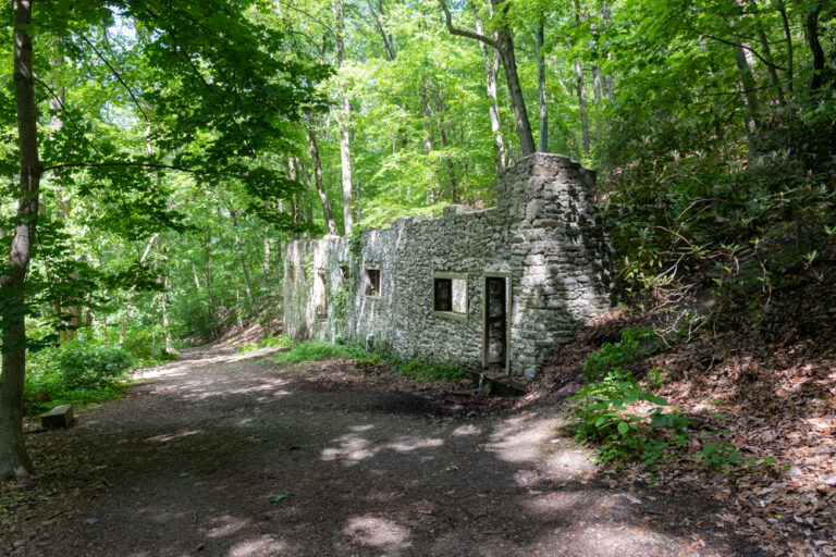Hiking the Mount Misery Trails to the Abandoned Colonial Springs