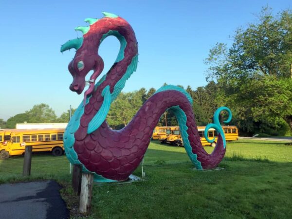 Purple Dragon in Duncannon Pa