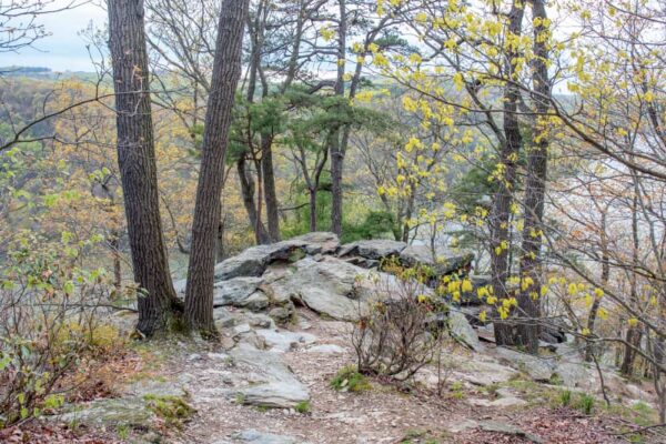 Rocky outcropping near the Pinnacle Overlook in Holtwood PA