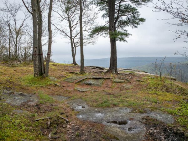 The area around Band Rock Vista in Loyalsock State Forest