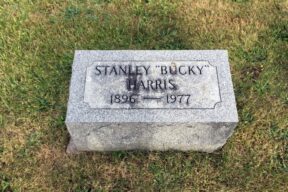 bucky famers northeastern buried graves