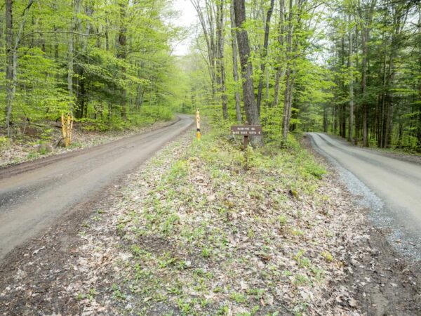 Road to Band Rock Vista in Lycoming County PA