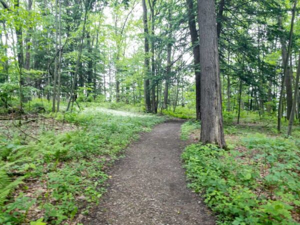 Trail to Tidioute Overlook in Warren County Pennsylvania