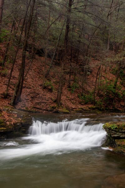Wykoff Run Falls in Cameron County PA
