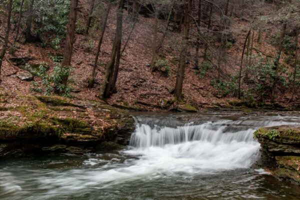 Wykoff Run Falls in Cameron County, PA