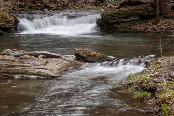 Looking upstream towards Wykoff Run Falls in the Quehanna Wild Area