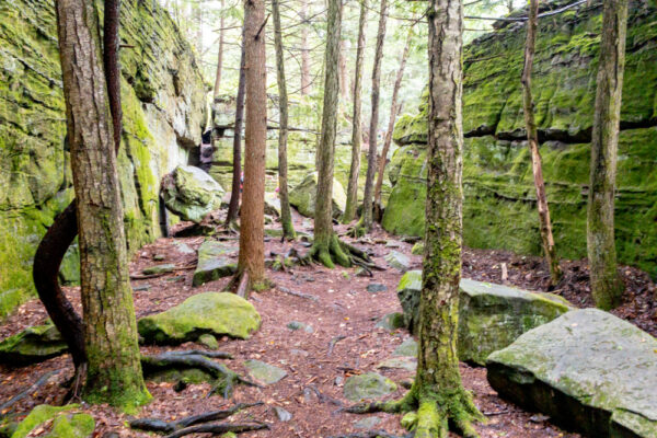 An open area in Bilger's Rock Park in Grampian PA